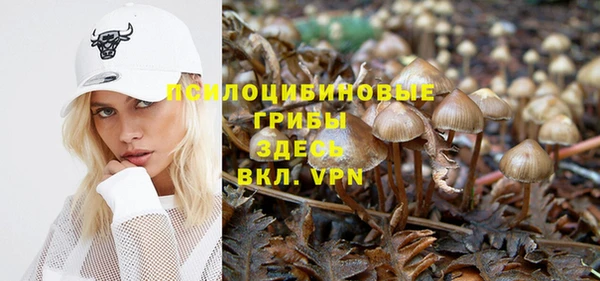 альфа пвп Баксан
